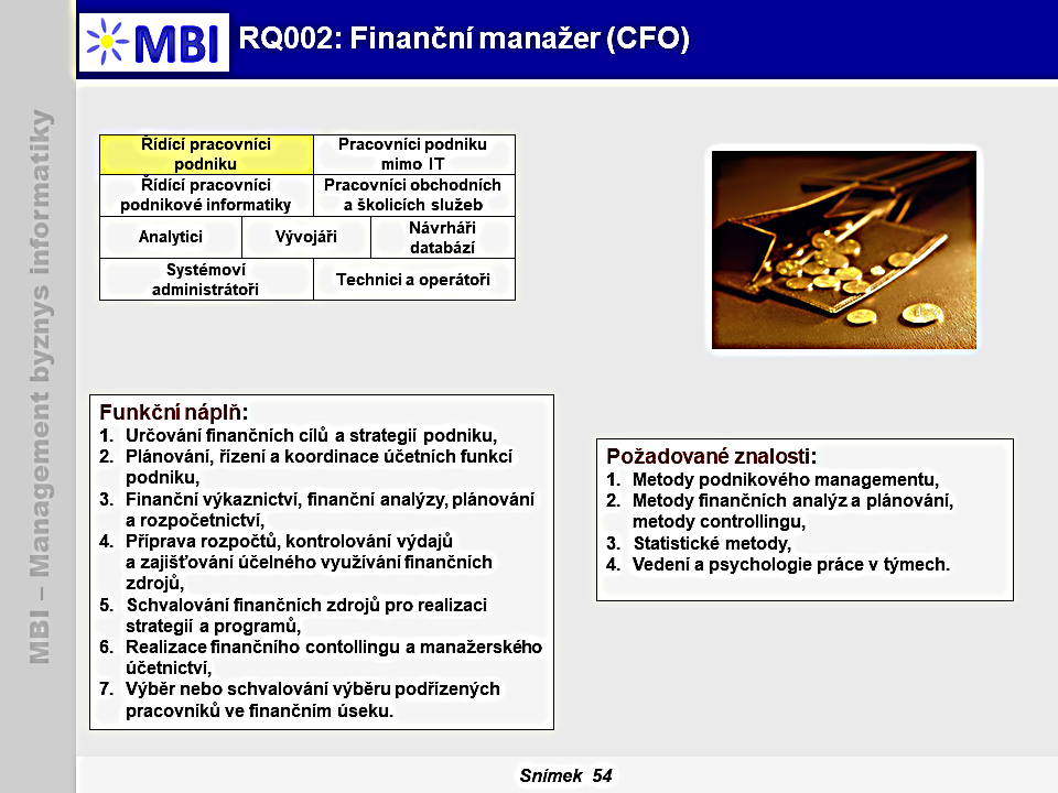 Finanční manažer (CFO, Chief Financial Officer)